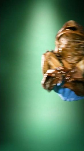 Goliath Frog - The Largest Frog in the Entire World