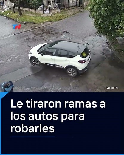 NEW ROBBERY METHOD | In Ingeniero Budge, they throw branches at cars to stop them and rob them