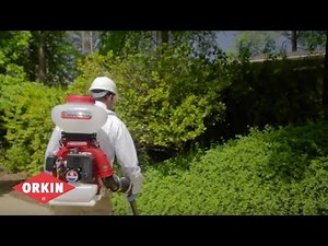 Custom Mosquito Solutions | Orkin
