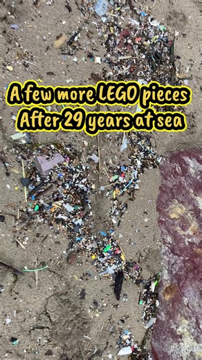 LEGO Treasures Found on the Beach: A 29-Year Journey