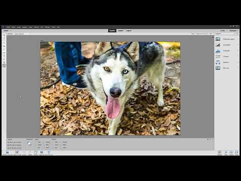 Tuto Comprendre l'interface et les calques dans Photoshop Elements 2021