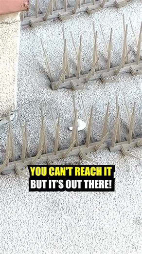 Trying to Find My Lost AirPods in Vegas👀😱 • Click the Link in Our Bio to Build Wealth📲 #vegas #airpods #adventure #lost #success | Mike & Bo