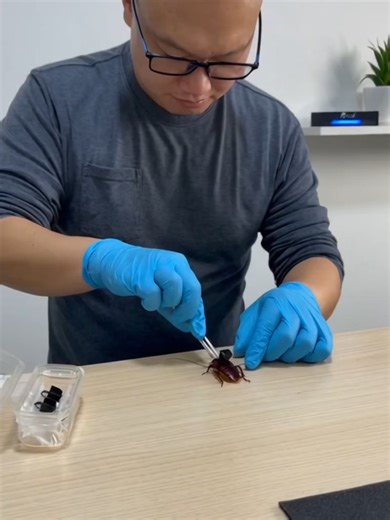 Innovative Cockroach Camera Installation Guide