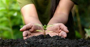 ISEP Foundation Certificate in Sustainability & Environmental Management (Formerly IEMA)