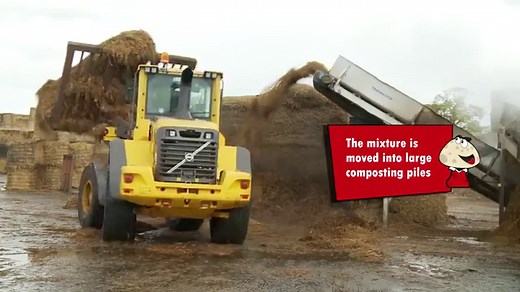 Mushroom Compost: What It Is, What It Does, And How To Make It