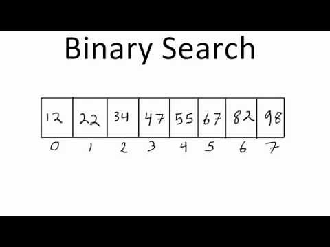 C++ Programming: Binary Search Algorithm
