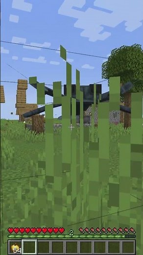 Ecdysozoa Infection MOD in Minecraft