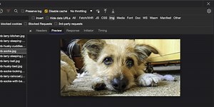 Using browser developer tools as an image browser