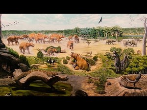 Prehistoric Australia: A Land of Unique and Bizarre Animals