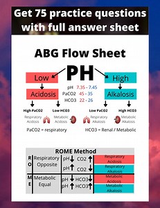 ABG Nursing Cheat Sheet, With a Step by Step Study Guide on Blood Gas Problems, Includes Practice Problems and Answers. ABG Lab Values, Bag - Etsy Australia