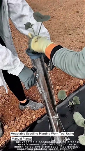 Vegetable Seedling Planting Work Tool Using Manual Planter #worktool