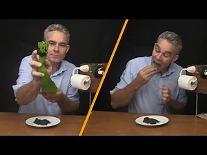 Toilet Paper Alternatives (Replace Your Toilet Paper with THIS!)