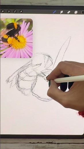 How to Sketch in Procreate Step-by-Step