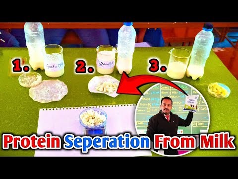 Seperation Of Casein Protein From Different Samples Of Mik 🔥 || Milk Test