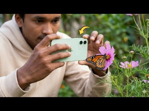 iPhone 12 Camera Test in 2026