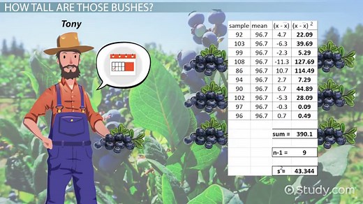 Sample Mean & Variance | Definition, Calculation & Examples