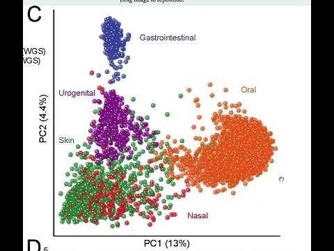 How to read a PCoA graph of the microbiome