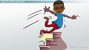 Depth Perception | Definition, Cues & Examples