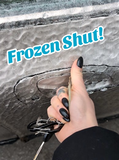 It took a solid 40 mins to get in💀 #storm #winter #canada #struggle #ice