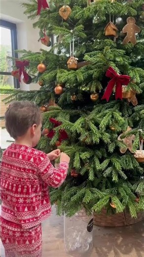 Ad My time saving kitchen hack is 25% off 🥰🥰🥰 I love Black Friday and honestly this is my most