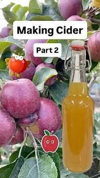 Making Cider with Apples - Easy & Simple Instructions - Part 2