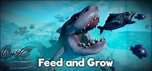 Feed and Grow Fish für PC Deutsch