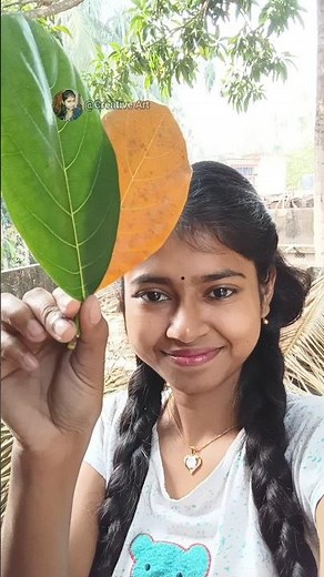 "Beautiful Leaf Cutting Art | Easy Leaf Carving Tutorial | Creative DIY Craft Idea"