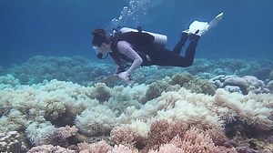 691K views · 4.5K shares | The Great Barrier Reef is undergoing a major coral bleaching event for the second year in a row. | National Geographic | Facebook