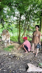 593K views · 8.9K reactions | Cười Xỉu Chị Thảo Lo Chồng Vừa Nấu Ăn Vừa Chạy Ra Chông Ngóng Chồng Đi Cắt Cỏ Cho Bò.! #XuânThảo #U30 | HOÀNG TRUNG TV | Facebook