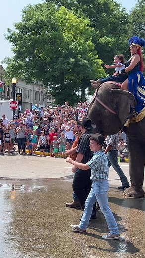 Elephants on Parade for Baraboo Wisconsin Circus parade. | Planet Nature