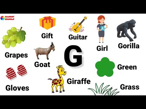 G letter words in English | Words starting with G | Letter G words with pictures