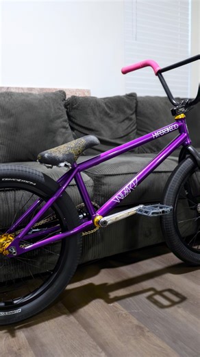 Rate the color of my new bmx frame | Low Fro Photography