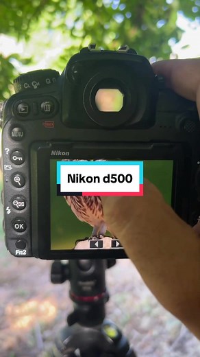 Khám Phá Sức Mạnh Nikon D500 Trong Nhiếp Ảnh