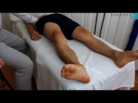 Hip External Rotation MMT