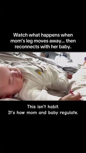 Watch what happens when mom’s leg moves away… then reconnects with her baby.