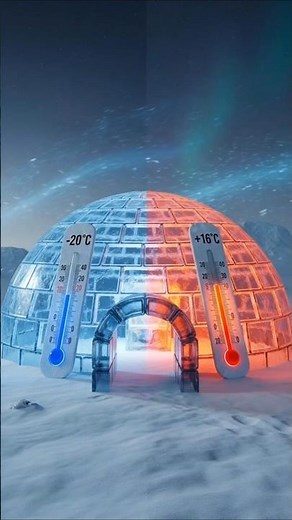 How Is An Igloo Warm Inside? 🤯