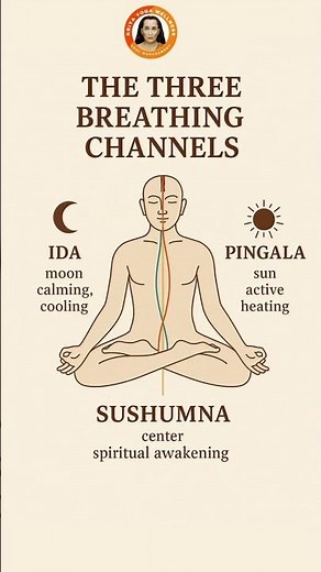 The Three Vital Energy Channels: Ida, Pingala, and Sushumna