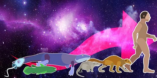 This incredible animation shows how humans evolved from early life