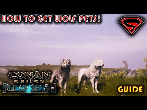 CONAN EXILES ISLE OF SIPTAH HOW TO GET WOLF PETS