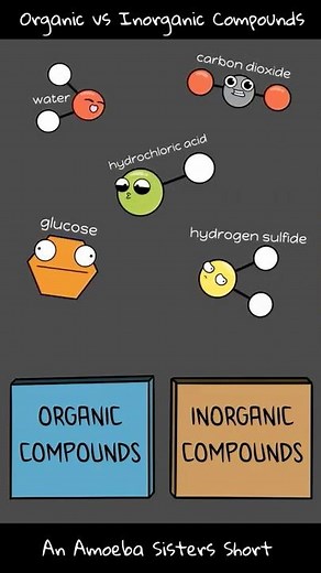 Inorganic vs Organic Compounds- Amoeba Sisters #Shorts