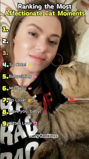 Ranking the Most Affectionate Cat Moments 😻❤️