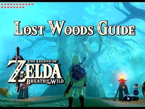LOST WOODS GUIDE - Zelda: Breath of the Wild