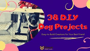 38 DIY Dog Projects: Easy-to-Build Creations for Your Pup!