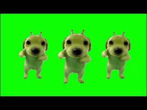 Alien puppies dance Green Screen Meme