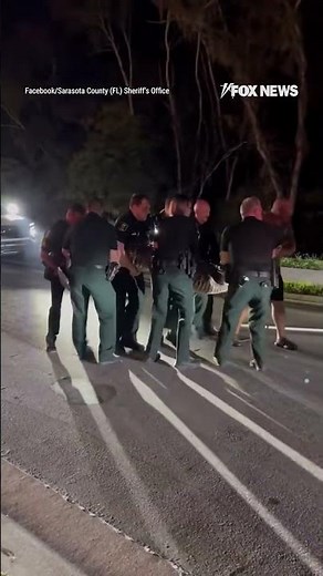 LATER GATOR: A 14-foot, 600-pound alligator brought traffic to a halt in Florida