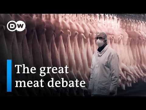Factory farming, animal welfare and the future of modern agriculture | DW Documentary