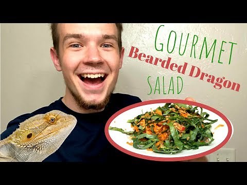 5 ways to make the BEST Bearded Dragon Salad