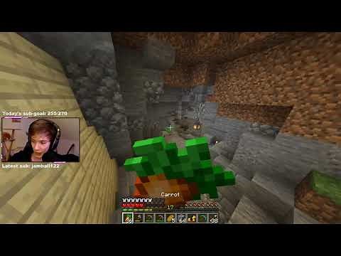 Fundy Minecraft Archive "slaying people on Dream's Minecraft server"