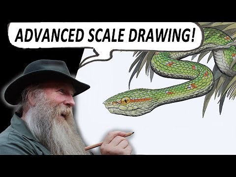 HOW TO DRAW SNAKE SCALES (ADVANCED) with Wagler's Pit Viper