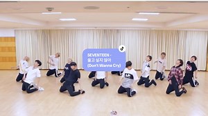 SEVENTEEN - 울고 싶지 않아(Don't Wanna Cry) mirrored #울고_싶지_않아 #1000만_HIT #Thank_U_CARAT #SEVENTEEN #세븐틴 #saythename_17 #seventeen17_official #seventeenisthebest #seventeencarat #CARAT #캐럿 #캐럿들 #carat💎 #SCOUPS #에스쿱스 #JEONGHAN #정한 #JOSHUA #저슈아 #JUN #준 #HOSHI #호시 #WONWOO #원우 #WOOZI #우지 #DK #도겸 #MINGYU #민규 #THE8 #디에잇 #SEUNGKWAN #승관 #VERNON #버논 #DINO #디노 #DancePractice #DanceTutorial #NewMusic #추천